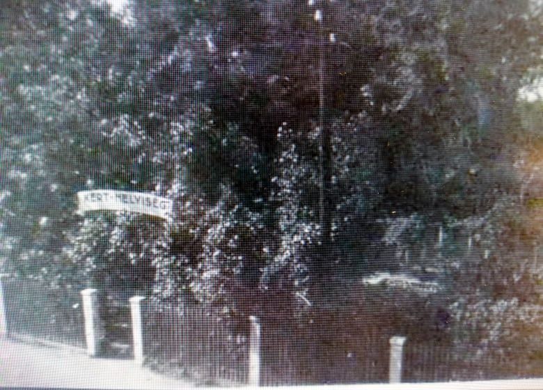 A tekejáték kellő üzleti vonzóerővel rendelkezik